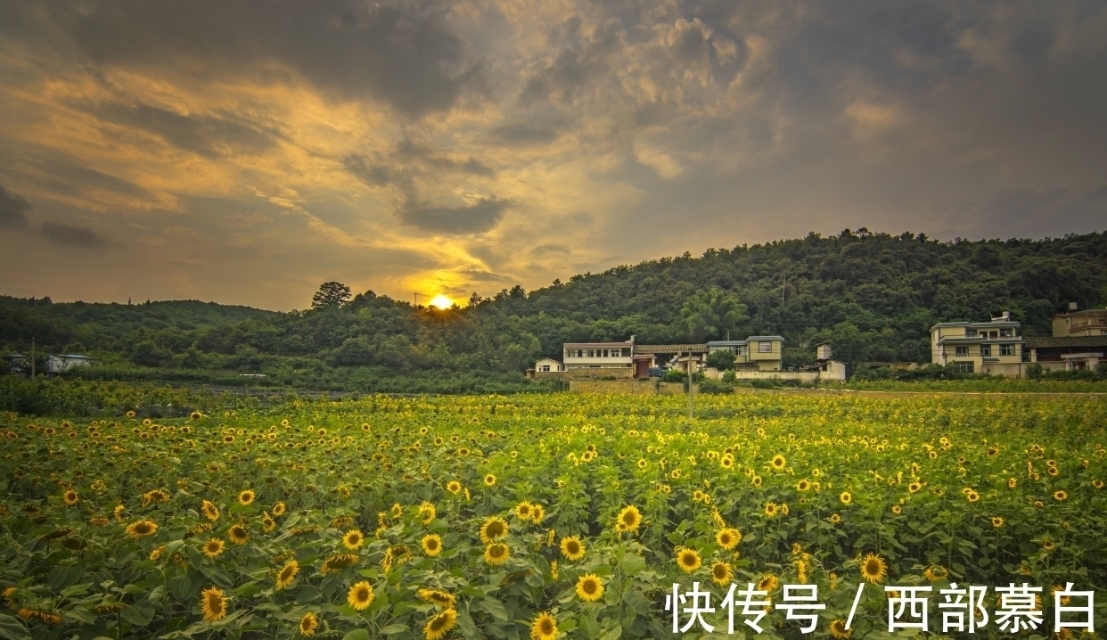 一切随缘|淡泊名利,活得很通透的星座,事不争、人不比、心不求