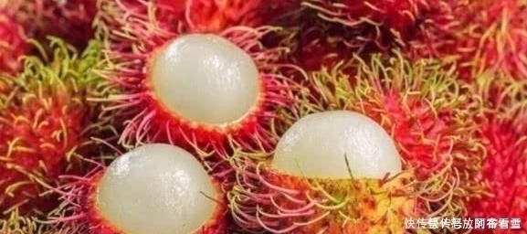 滴血|吃自助餐遇到这5种水果,放开肚子使劲吃,老板心中在滴血