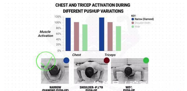 肌肉|一套完整实用的「居家健身」指南,0器械练遍全身肌肉
