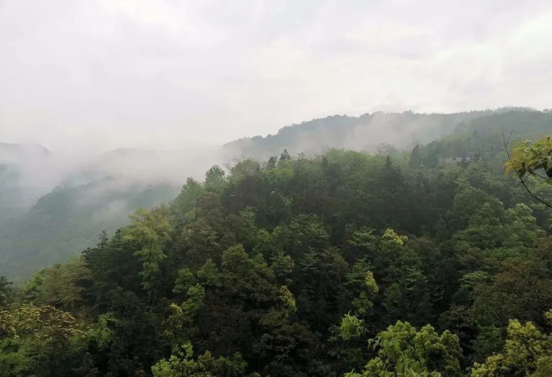 临海竹家山村，带着“隐世”气质的小山村