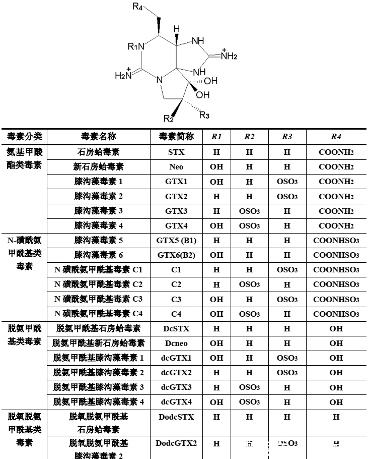 织纹螺|比眼镜蛇毒强80倍的剧毒，为何出现在吃了几十年的海鲜里？