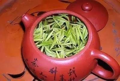 90度左右|白茶的泡法： 一杯二盖小三大四五飘六煮