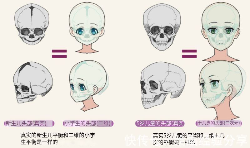 绘画!人体头部轮廓怎么画?教你画出好看头部的诀窍!