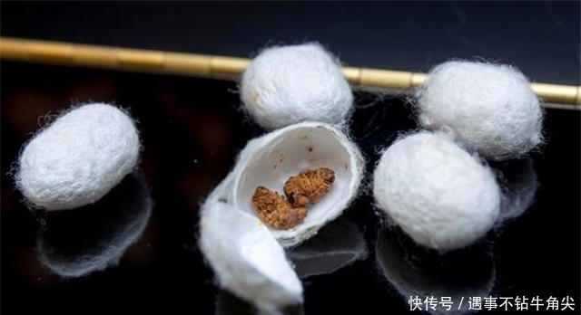 做礼物、做衣服、搞玄学,小小蚕丝为何在先秦发挥大大作用?!