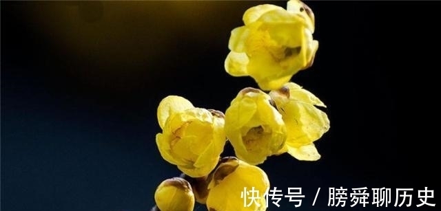 释义|人生有四悲四喜，人生“三惜”又是什么？