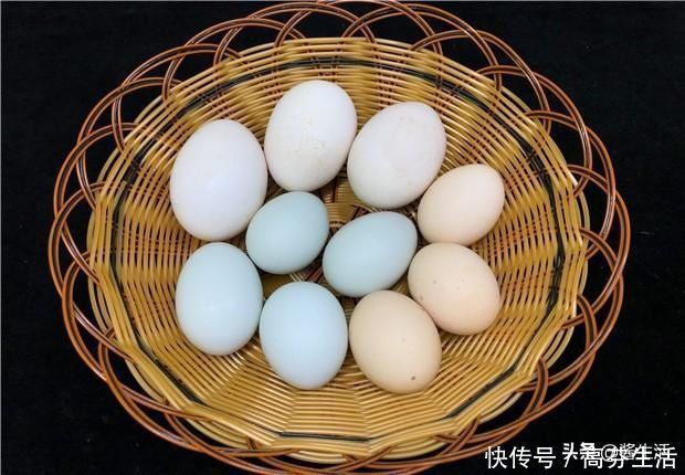 营养|鸡蛋、鸭蛋、鹅蛋哪个营养最高今天总算知道了，以后别再吃错了