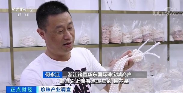 珍珠蚌|“新晋网红”来了，这个产业火了