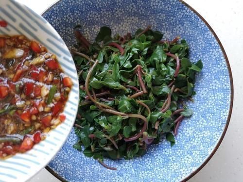 农村到处都有的菜，新鲜的时候没人要，晒干后卖50一斤被疯抢！