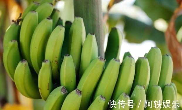 放在冰箱|3大食物,打死都不能放冰箱,拿出来就要扔,吃了危及健康