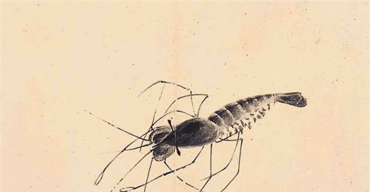 小生命!齐白石画的一只虾, 专家用高科技缩小到0.618倍, 看到了3D的效果!