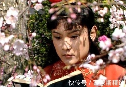 贾珠!贾宝玉VS贾琏,他俩谁在贾府的地位高?不同的身份给出了答案