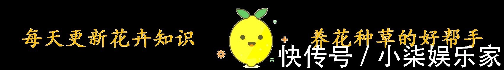 家里有这3种花,看到这几种“迹象”,别浇水了,先换盆才能养活