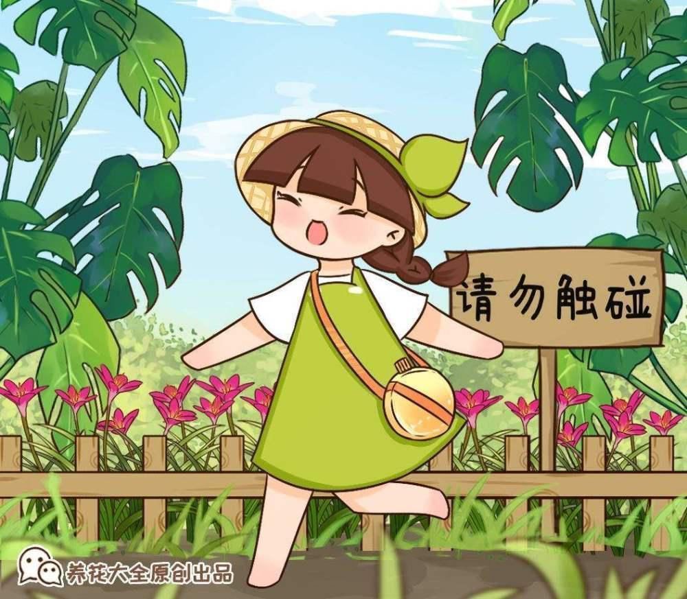 不适合养在室内的花，赶紧搬出去，再漂亮都不要养！