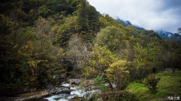 自然保护区|开着大唐去旅行——穿越太洋公路，赏黄柏塬醉美秋色（中篇）