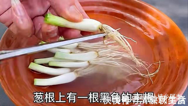 搅拌均匀|扔葱根等于扔钱，葱根原来是个宝，作用这么厉害，太实用了