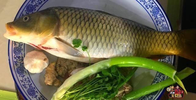 鲤鱼|红烧鲤鱼简单的家庭做法,学会这一招,鱼肉鲜香嫩滑无腥味