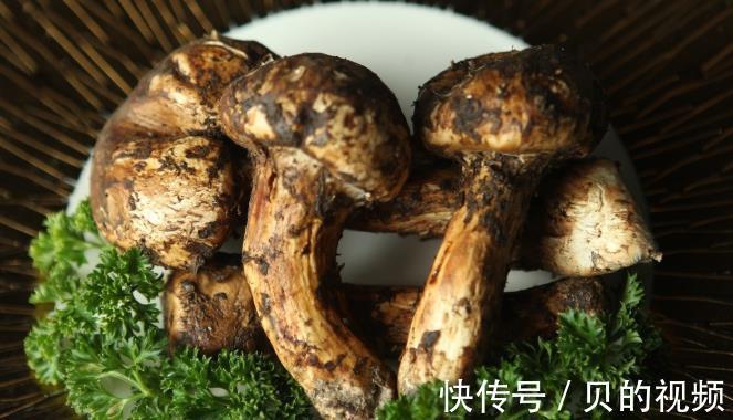 肿瘤病毒|这4个症状,超过3个宫颈癌已不是早期,做好1件事,宫颈癌走远远