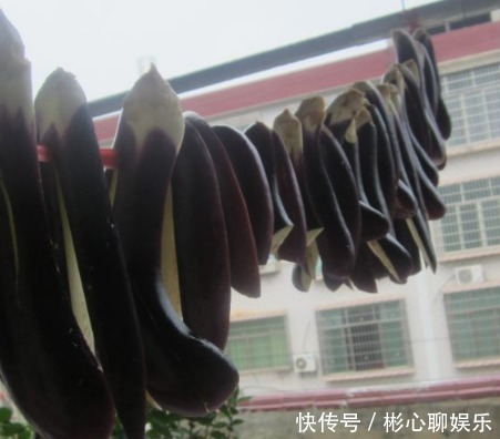 茄子上面|这几种蔬菜晒成干,放半年都不会坏,清脆香甜,香味比新鲜的更浓