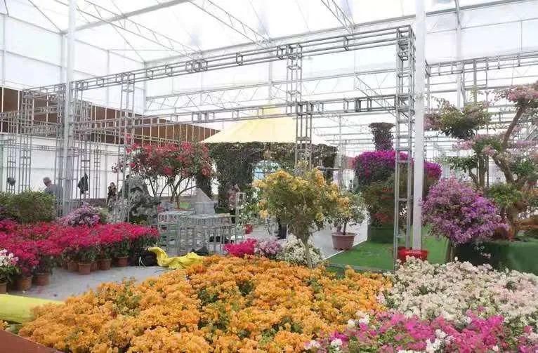 老年|新春沉醉花海,共游壮美叠彩!