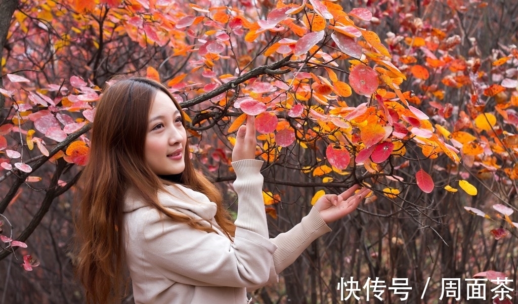 月是故乡明|优秀作文赏析:《萧萧落红知秋意》