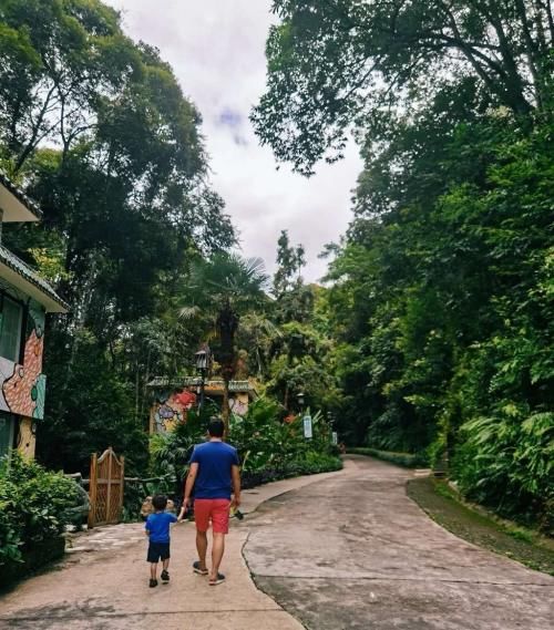 适合带娃一起去旅行，还有风景可以浪，这里温泉你要去