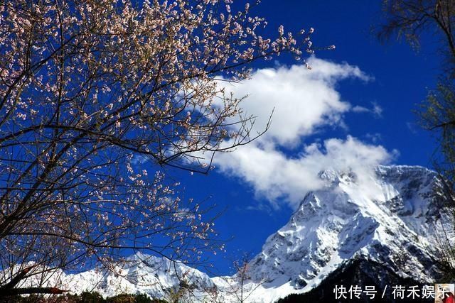 波密桃花开当桃花与雪山相遇，便成为云上仙境