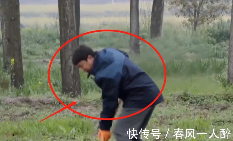 干活|《向往5》干活被质疑作秀,看嘉宾种树时的衣服,是否摆拍很显然
