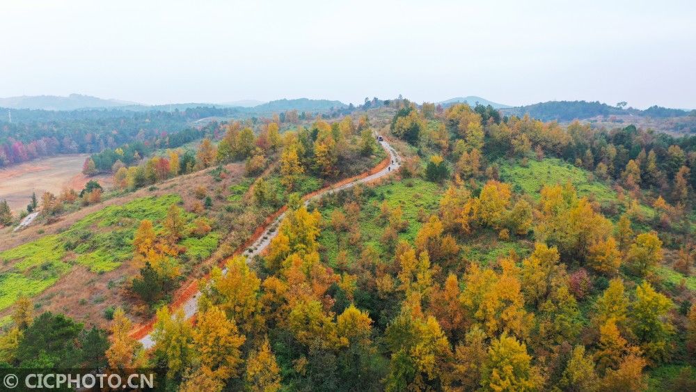 初冬|湖南新田：多彩初冬景色如画