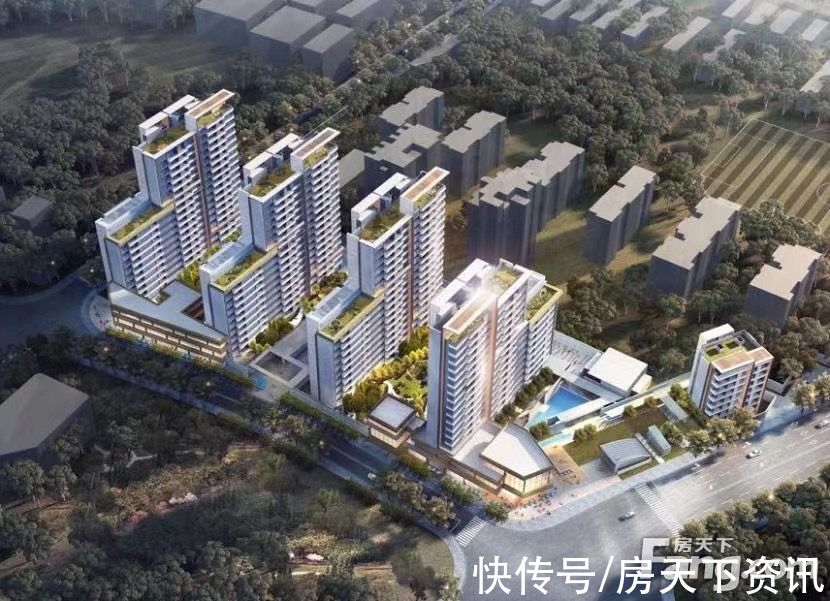 杨浦|上海杨浦热门楼盘现场最新视频，点击查看