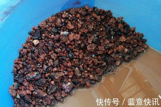 这3种“黑石头”，往盆里丢一点，养啥花都旺