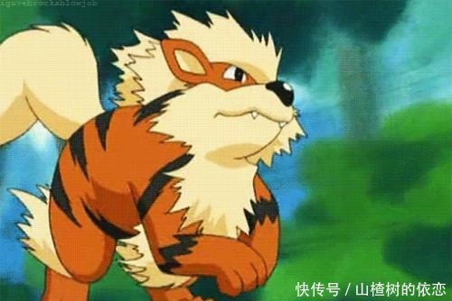 口袋妖怪黑2所有神兽