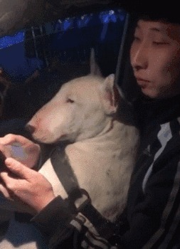 |搞笑GIF：有这么一群伴娘，吓得我都不敢结婚了