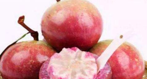 牛奶果牛奶果|女性不愿脸生斑,推荐常吃的食物,补血润肤、排除毒素