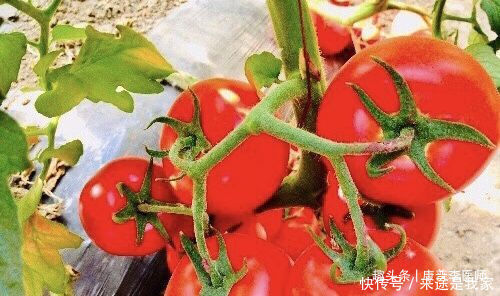 排毒清肠的好食物,推荐常吃,净化血液,帮助消化,养颜美容