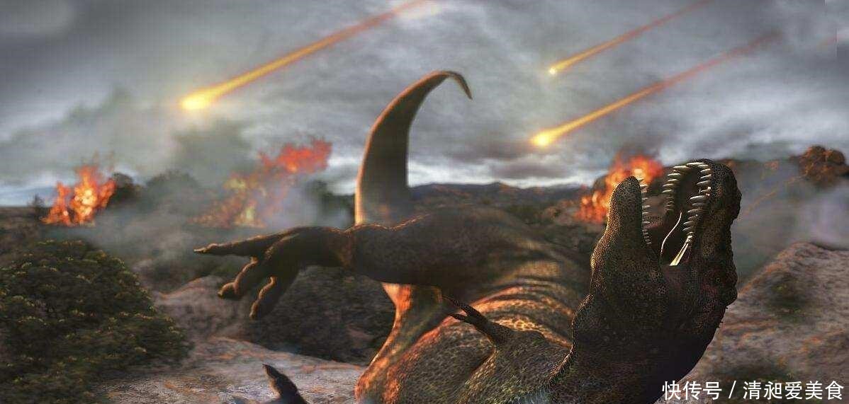 如果我捡到一个直径10米的纯金陨石,该陨石属于我还是国家?