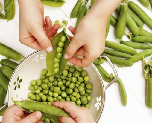 肥胖|十个女人九个湿,3种蔬菜每周吃一次,远离湿毒肥胖的烦恼