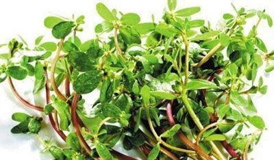 必须要焯水的9种蔬菜, 省略此一步, 等于吃掉健康, 赶紧学起来!