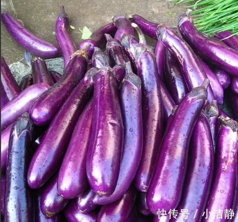买茄子时选直的还是弯的?老菜农:别跳错了,浪费钱还不好吃
