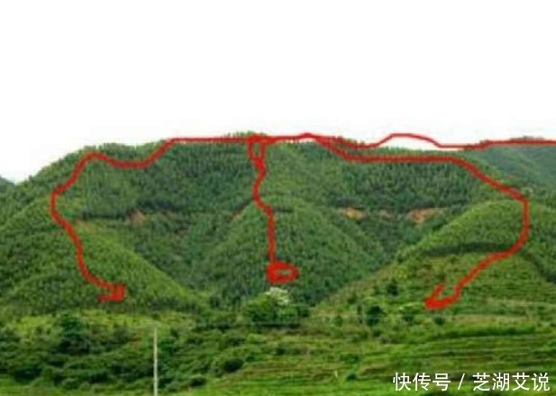 下手|刘伯温棺木中藏什么,为何朱元璋要对其下手?