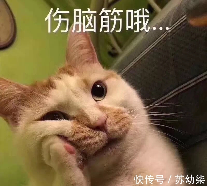 下厨|这2种“家用电器”太实用了,一机多能,猜你也喜欢