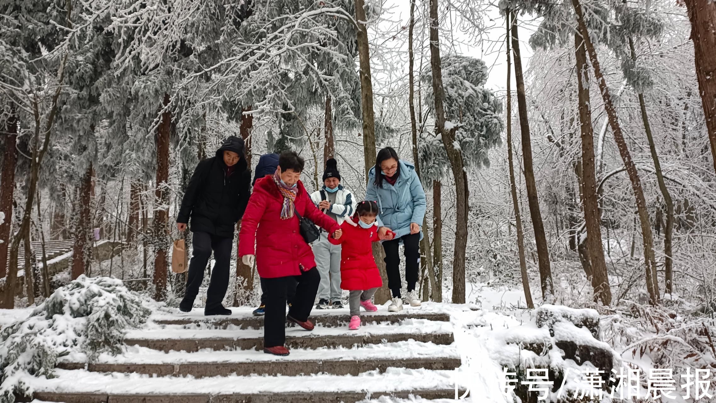 袁家界|张家界景区：大年云雪美景醉游人