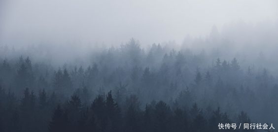 八方来客|以九宾之礼,盛迎八方来客