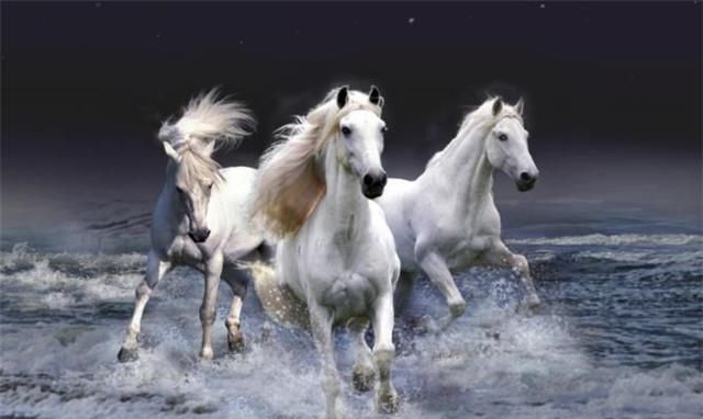 帝王@李商隐两首黄竹,是为了讽刺帝王吗?为什么我看到的是爱和悲伤