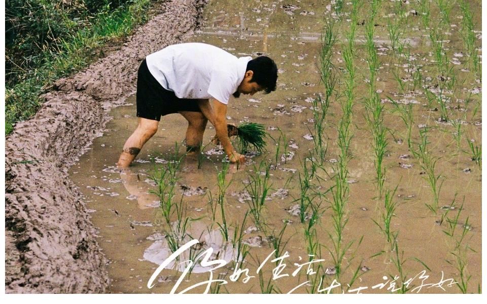 王冰冰|《你好生活》第三季嘉賓曝光，王冰冰朱廣權(quán)剛強(qiáng)真人秀首秀，收視率穩(wěn)了