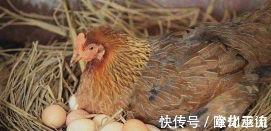 千古绝对#千古绝对!上联“穷死不耕丈人田”,下联太经典了!