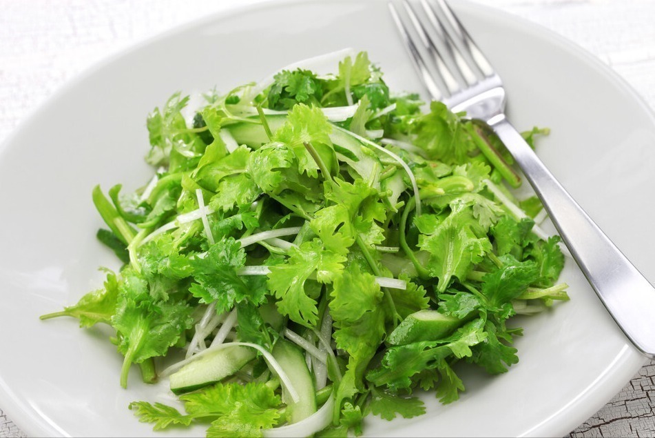 立秋|香菜吃不完,老农教你这样保存,放一年都不坏,颜色翠绿味道新鲜