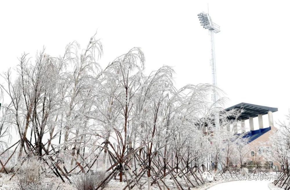 “大雪”瑞丰年 亚泰足球净月基地蓄力待明年