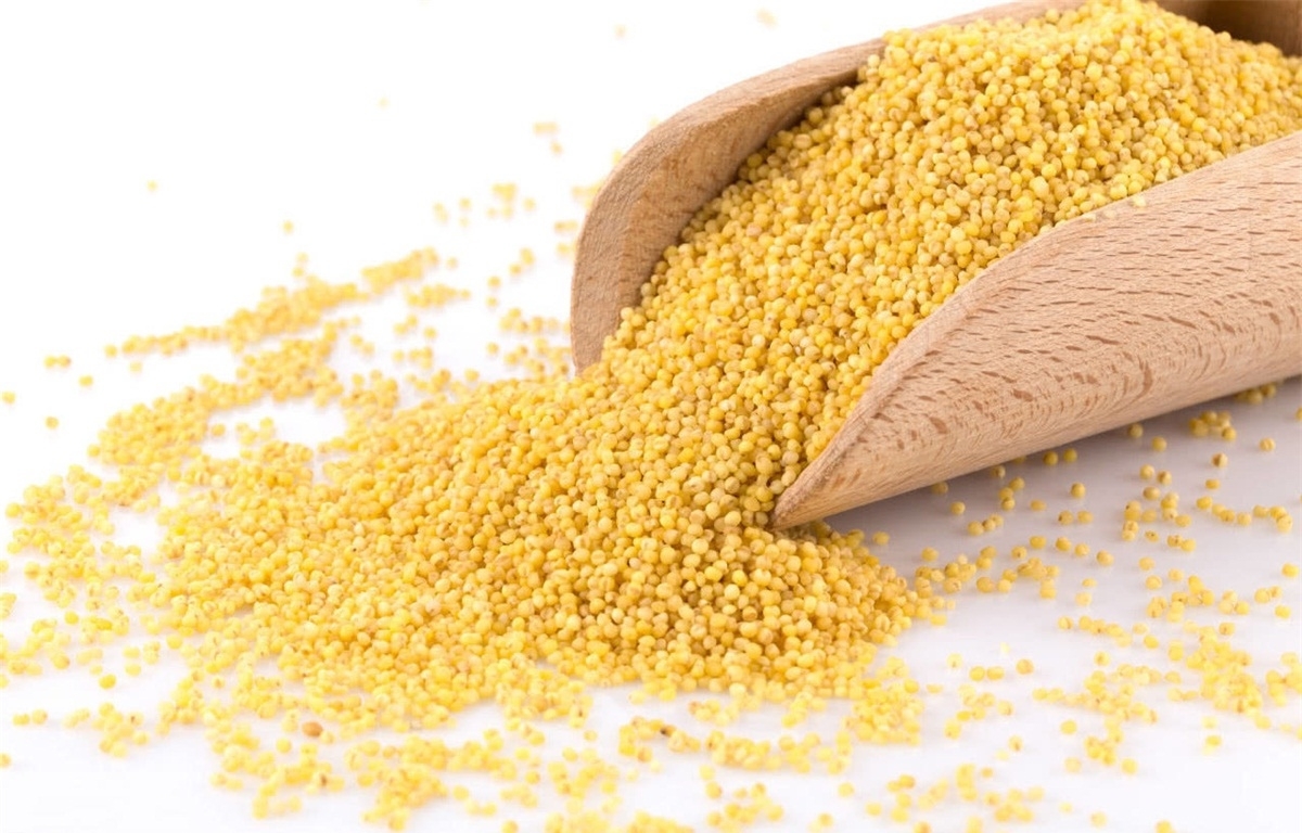 糯小米酒的酿制方法是什么?有哪些功效与作用?