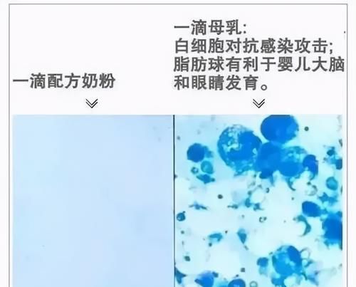 母乳到底有多“神奇”？一个实验为你揭晓答案，你可别小瞧了它