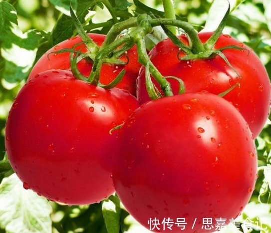 果基|你会区分“激素”西红柿吗?记住这3点,买的西红柿绿色又健康!